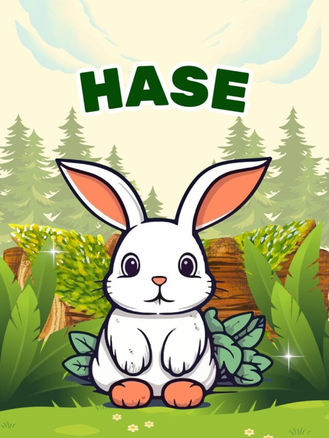 hase ausmalbild