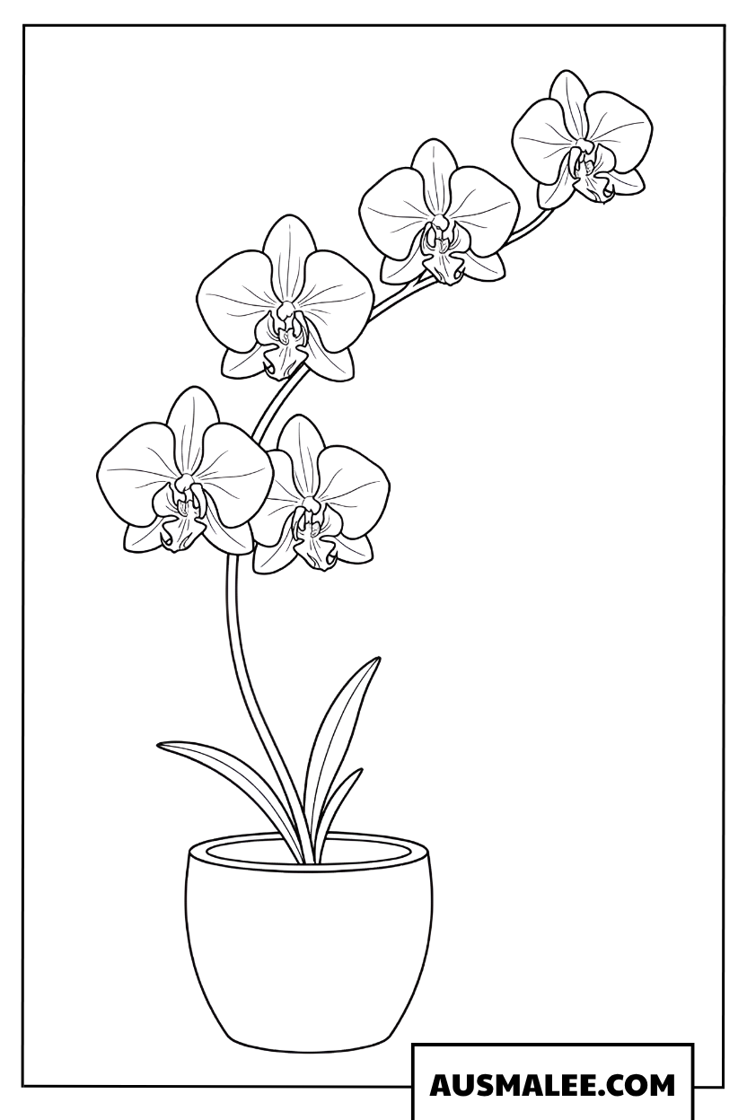 Kleurplaat orchidee in bloempot