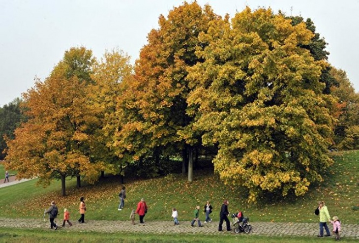 Britzer Garten Berlin 3