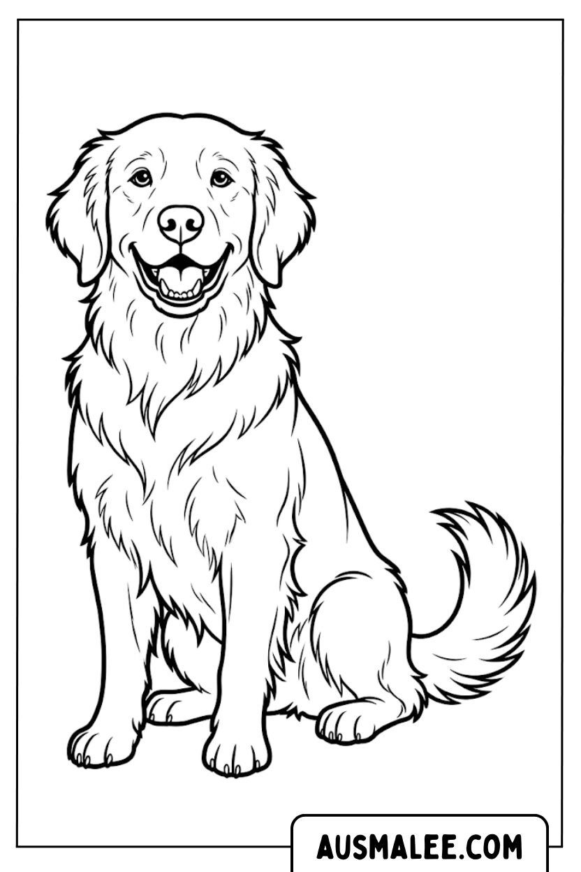 Golden retriever zittende kleurplaten