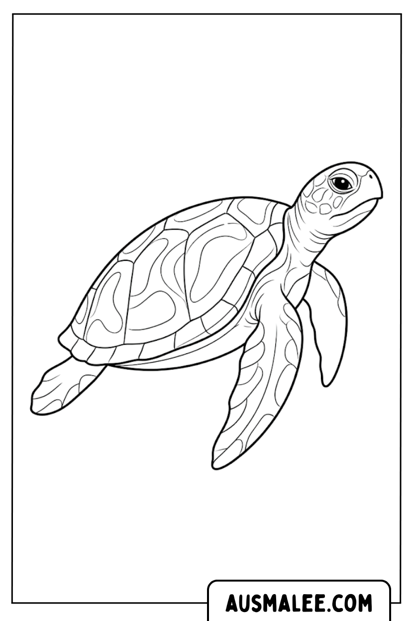 Zwemmende zeeschildpad kleurplaat