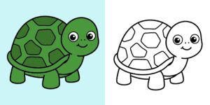 Tortue