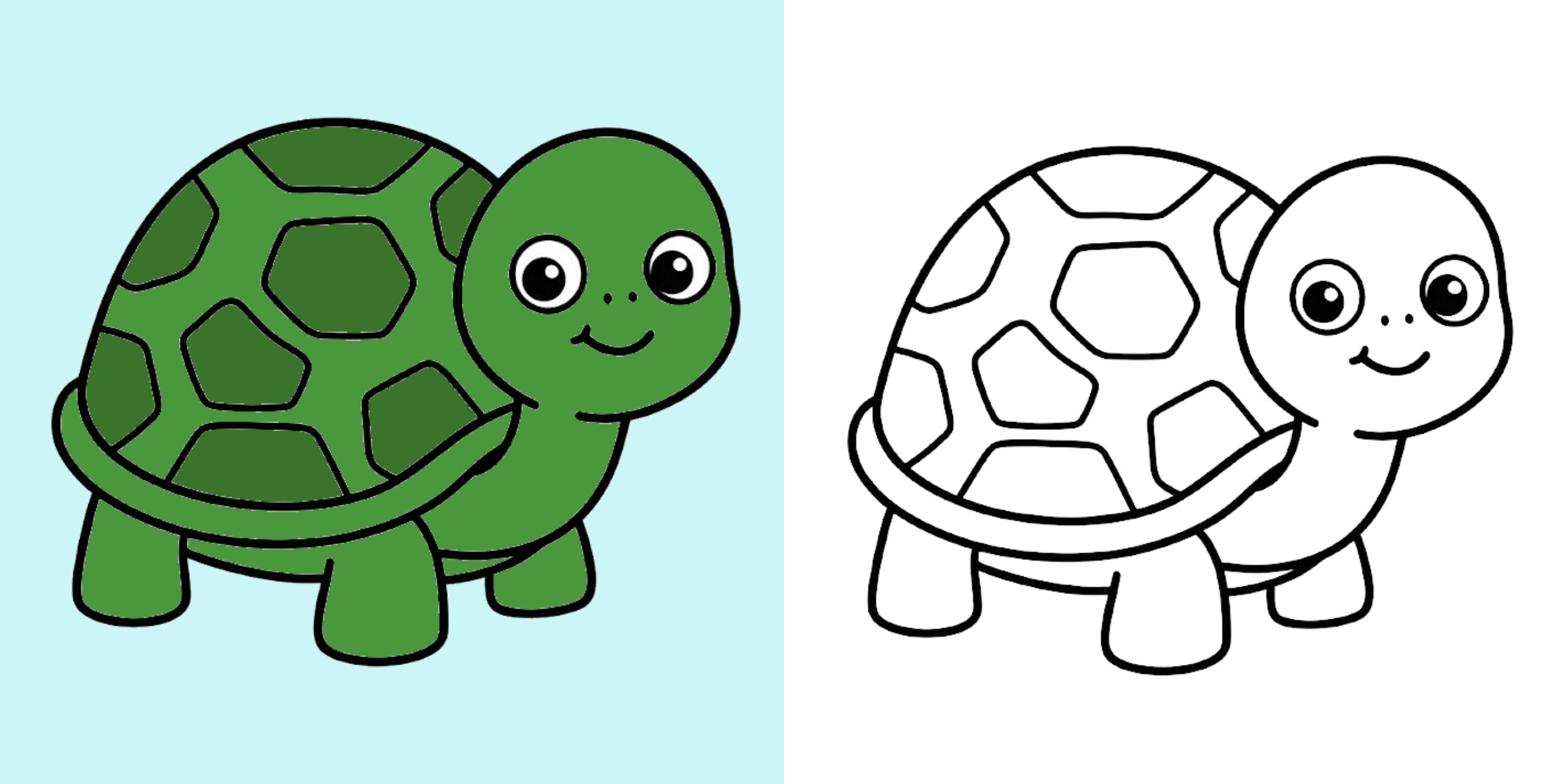 Schildpad