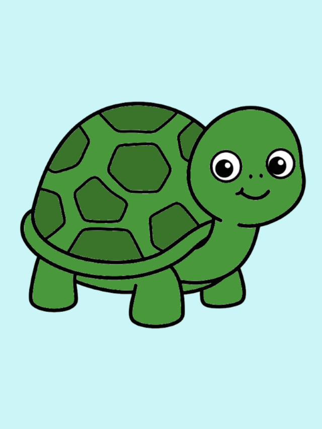 Ausmalbild Schildkröte