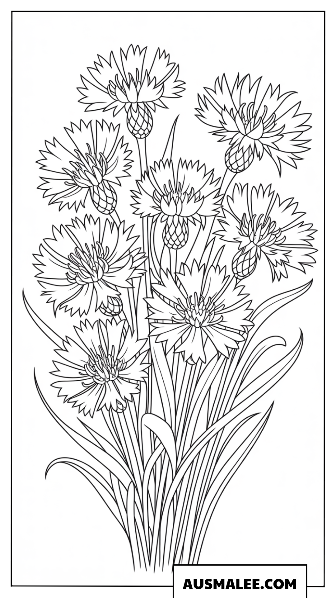 Ausmalbild Bunte Wildblumenwiese mit Kornblumen