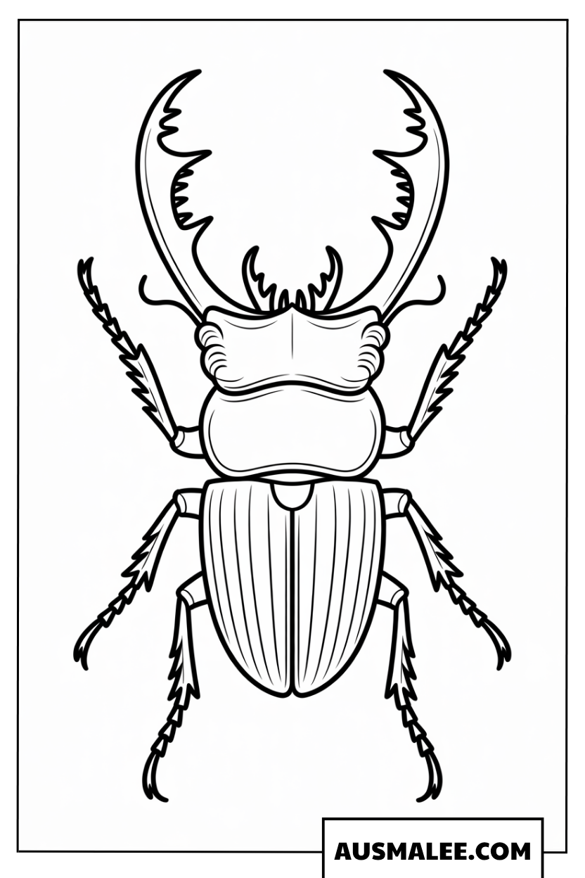 Ausmalbild Großer Hirschkäfer von oben gesehen