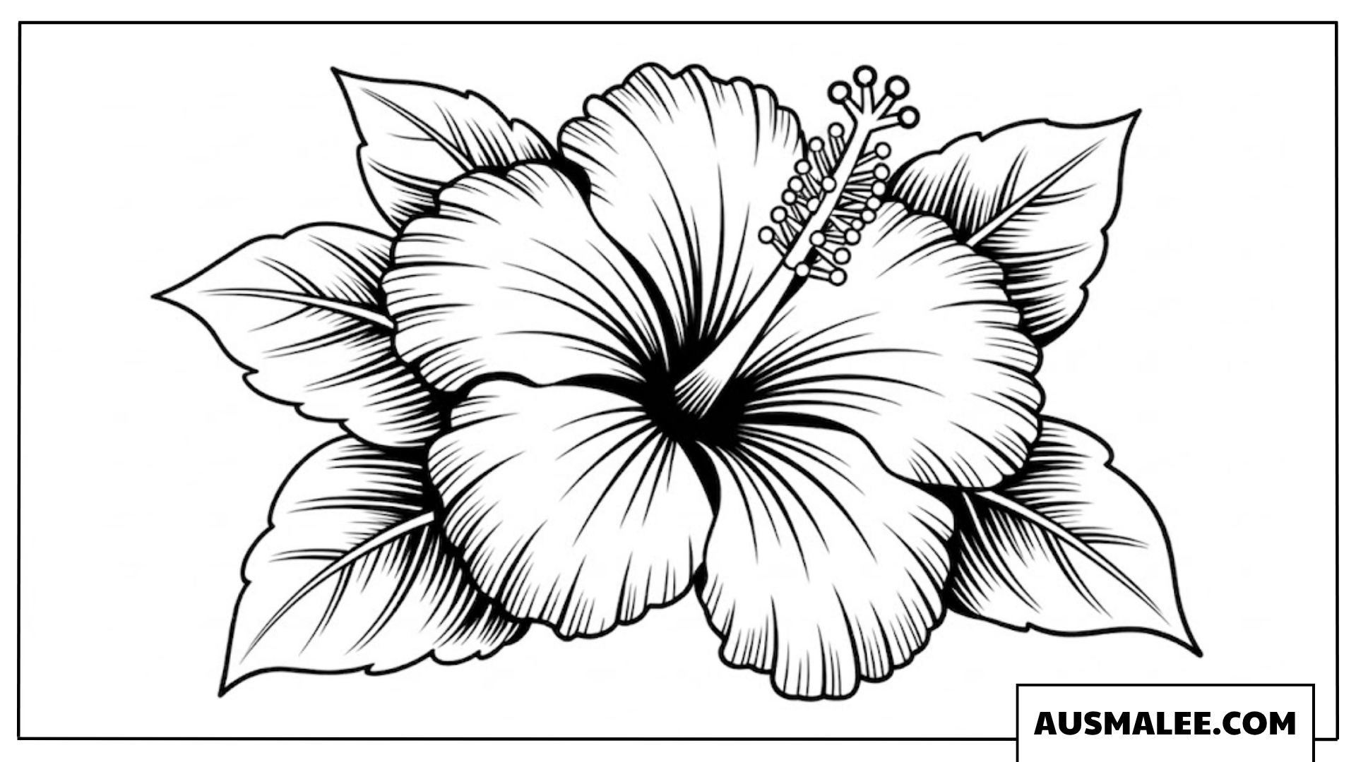 Ausmalbild Hibiskusblüte mit großen Monstera-Blättern