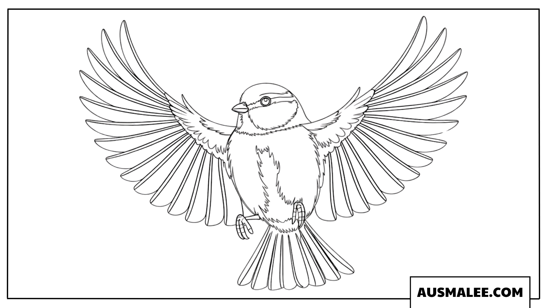 Ausmalbild einer fliegenden Blaumeise mit ausgebreiteten Flügeln.