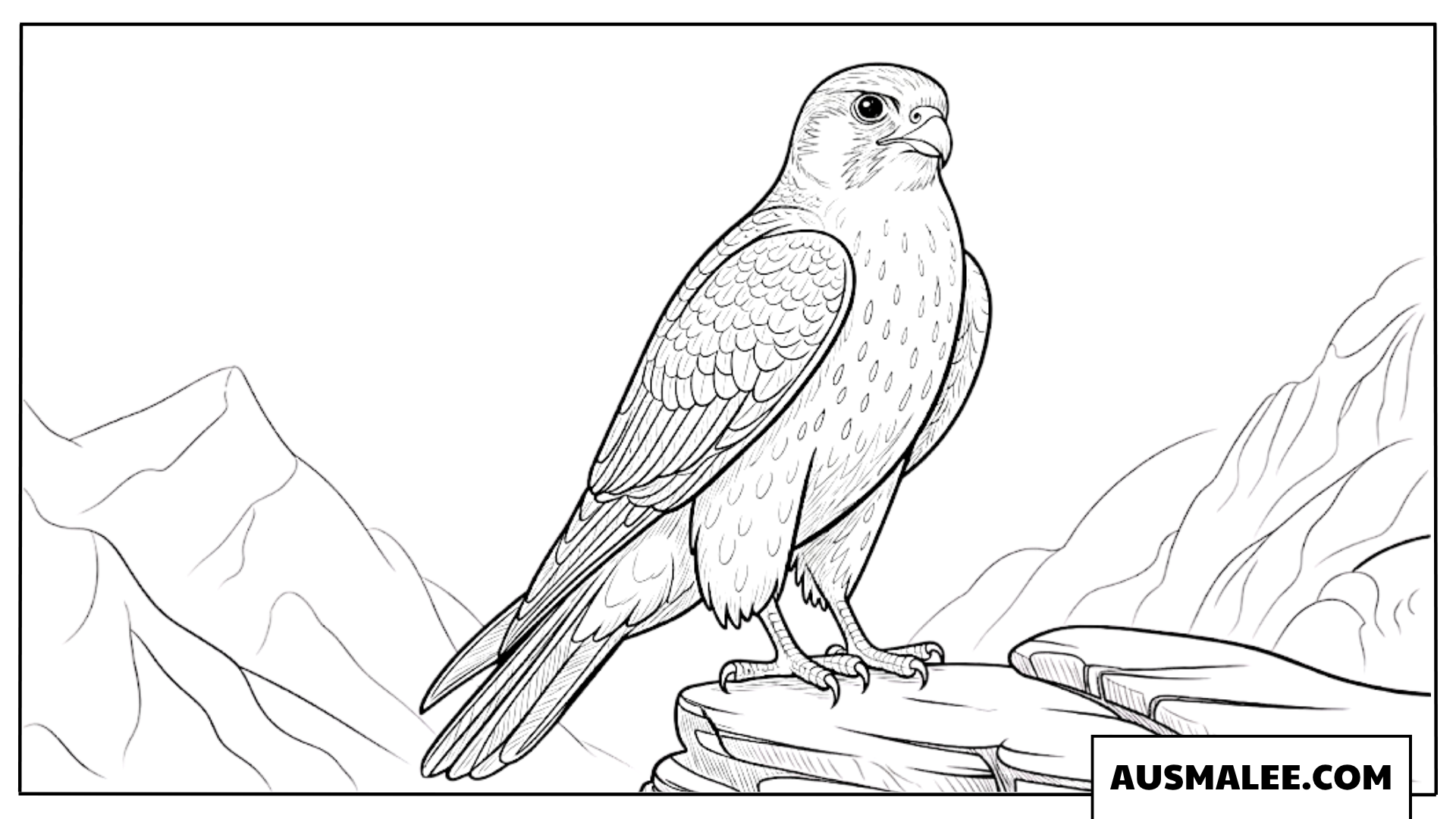 Ausmalbild eines Falken auf einem felsigen Berggipfel.