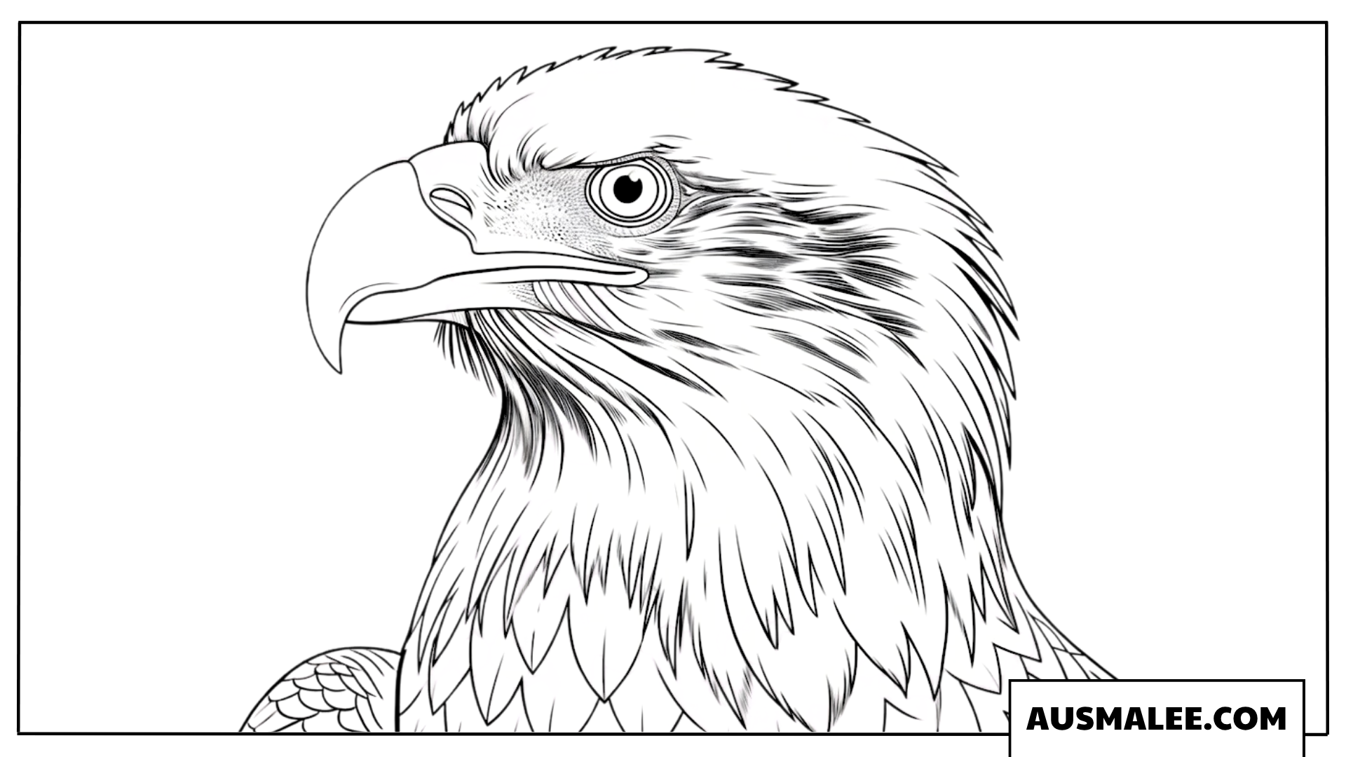 Ausmalbild eines Weißkopfseeadler-Kopfes in Seitenansicht.