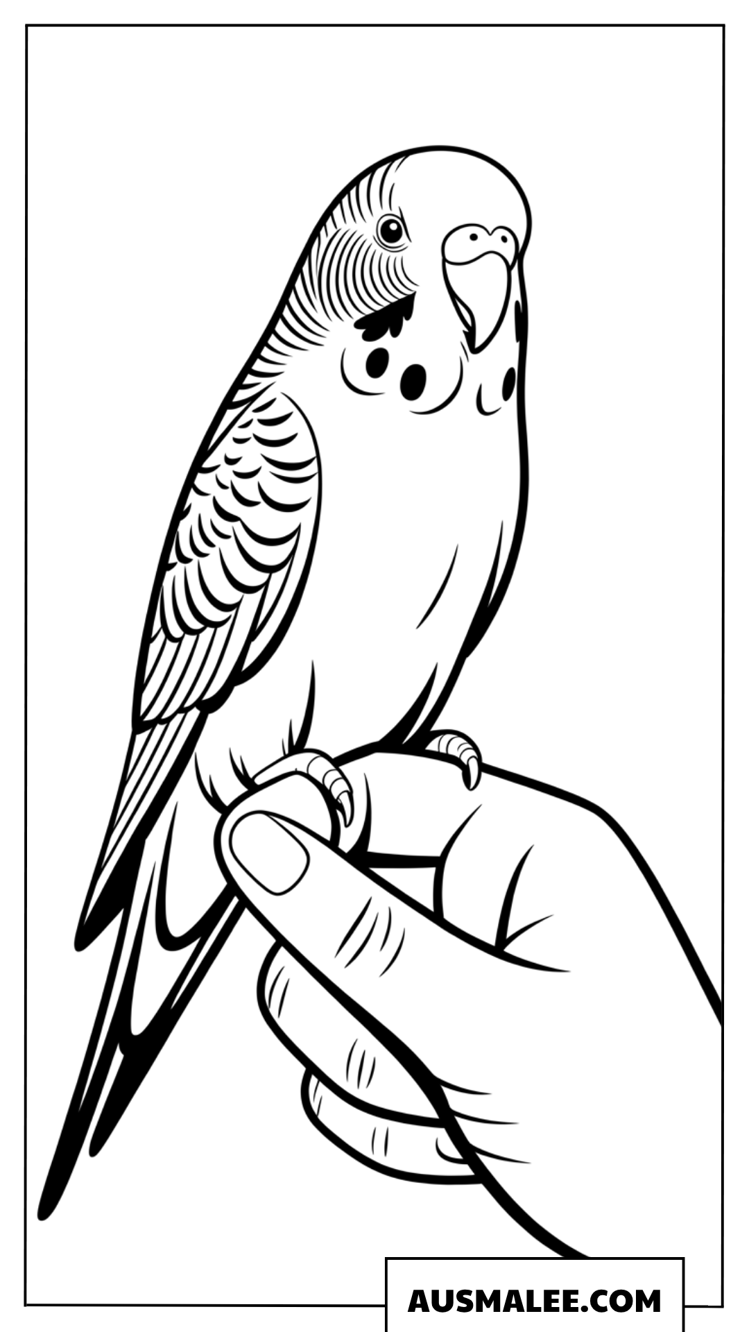 Ausmalbild eines Wellensittichs auf einem Finger.