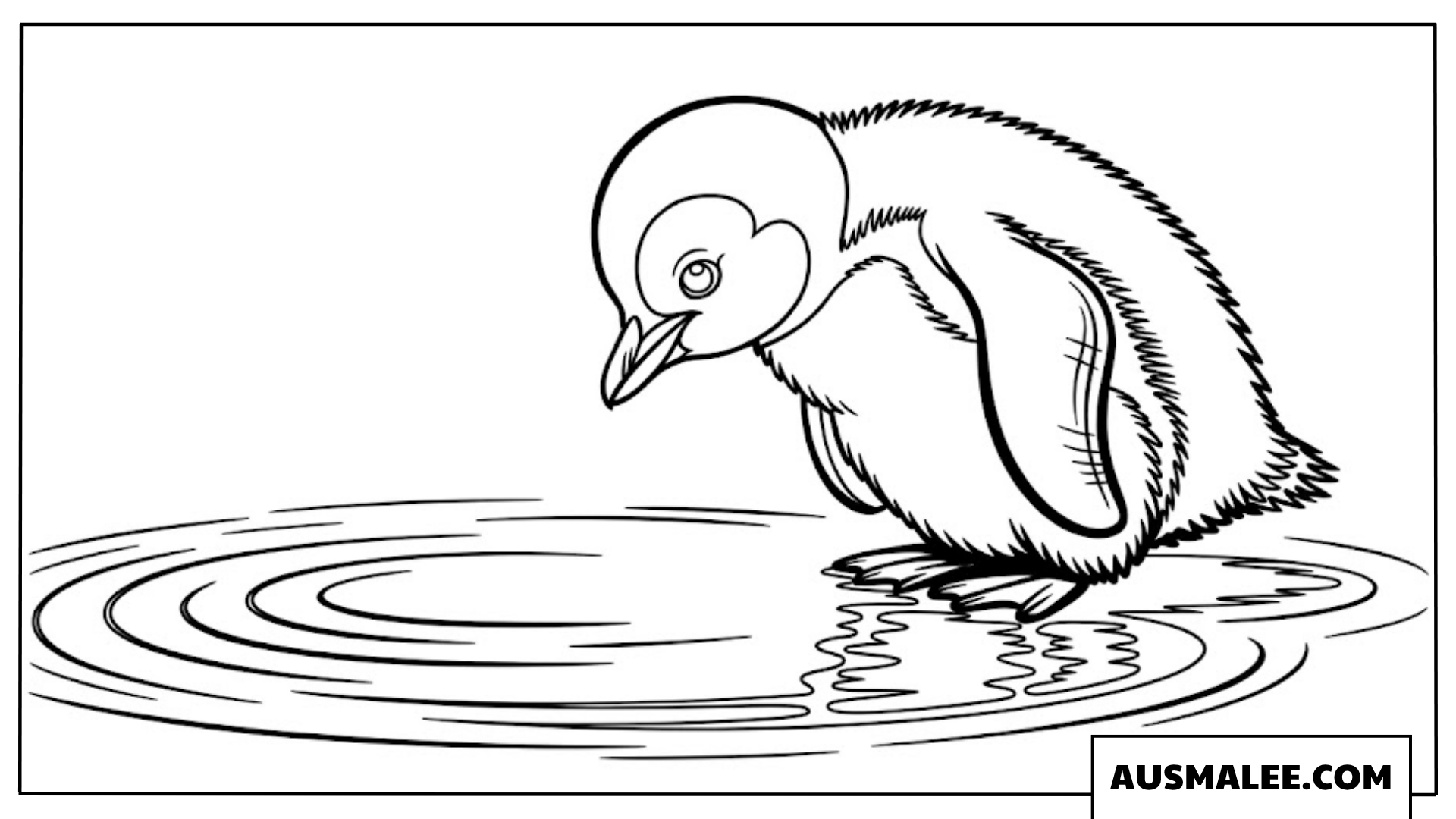 Baby Pinguin Ausmalbild am Wasser