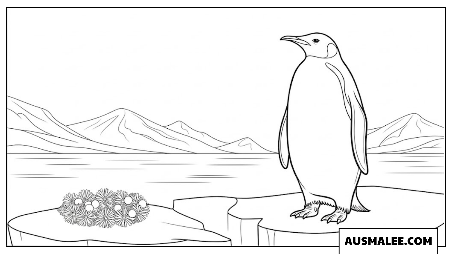 Erwachsener Pinguin auf dem Eis Ausmalbild