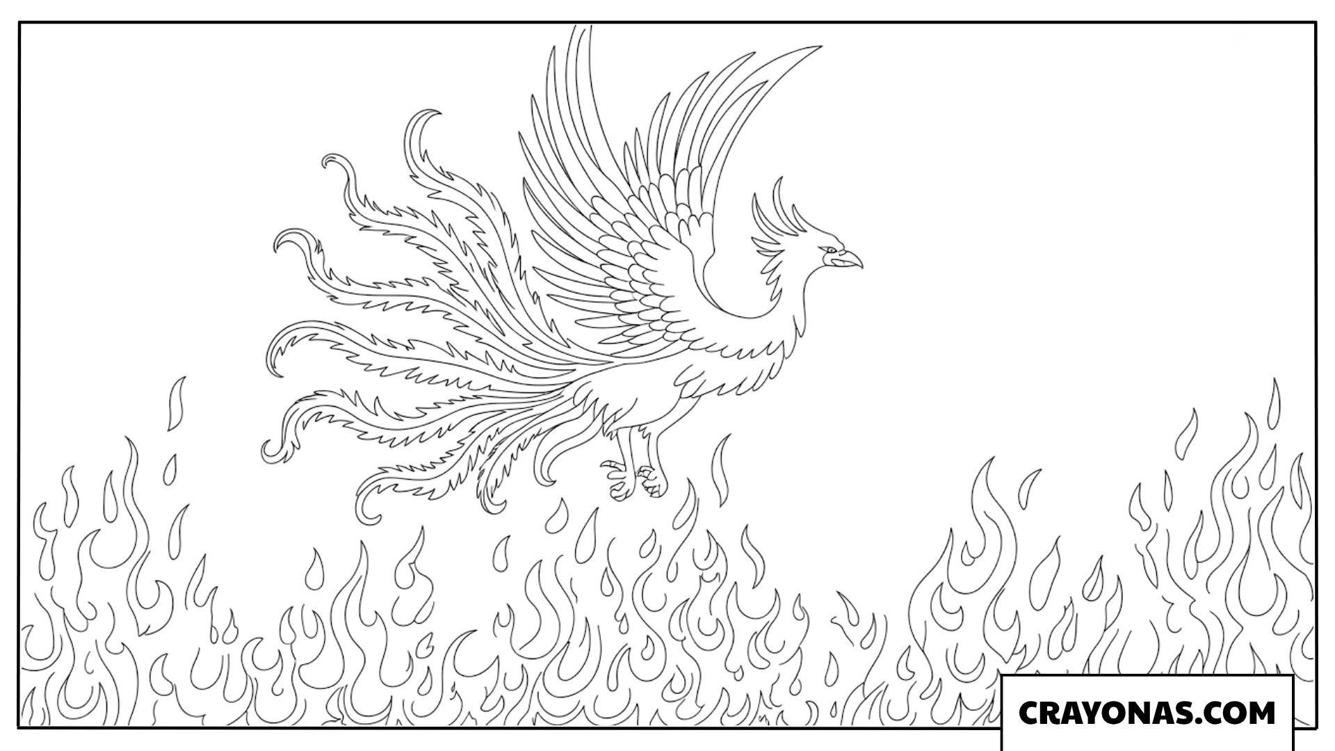 Ausmalbild eines Phönix in den Flammen