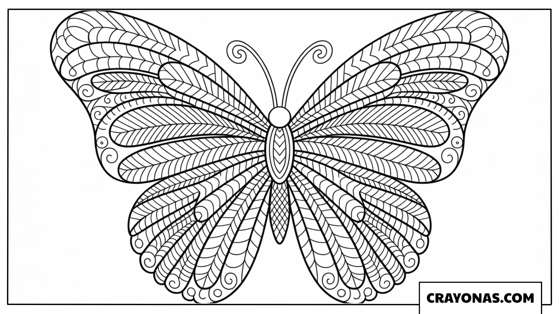 Ausmalbild eines Schmetterlings mit symmetrischen geometrischen Mustern