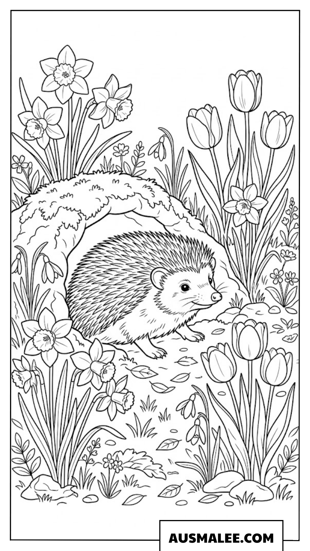 Igel erwacht im Frühling