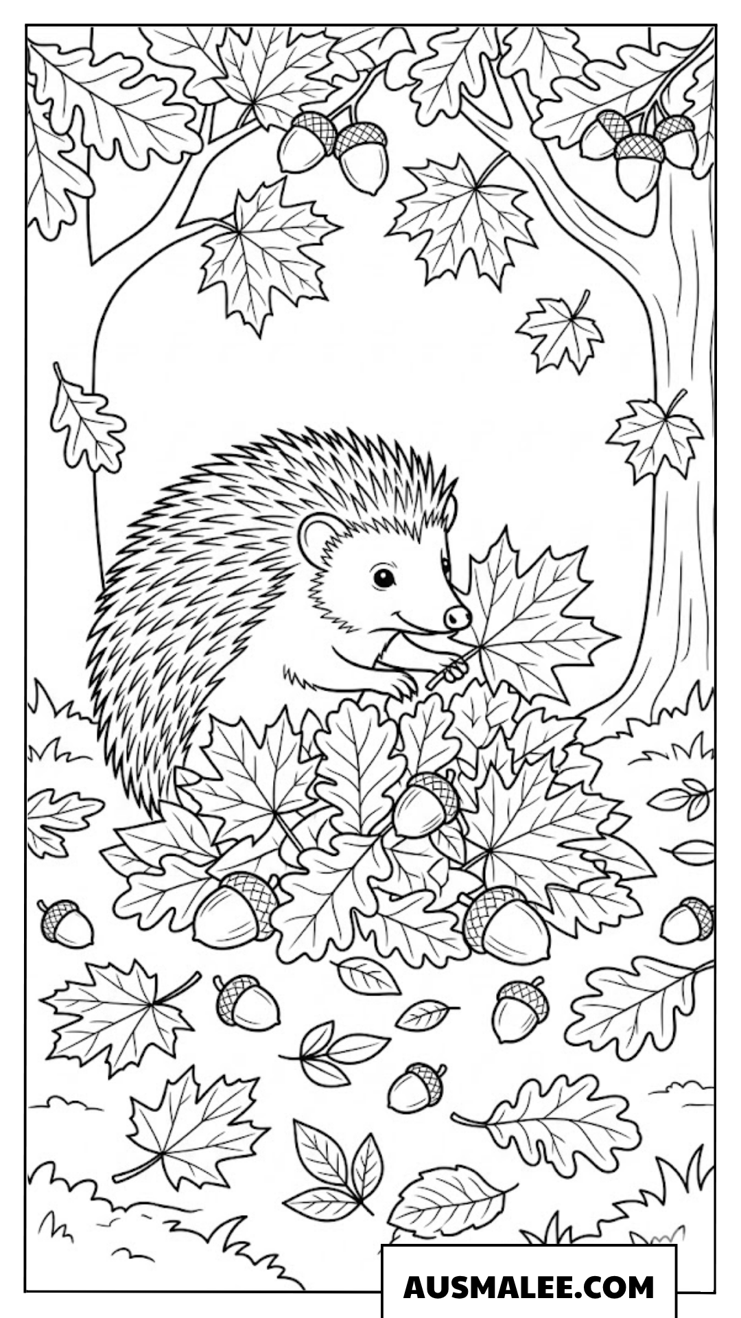 Igel im Herbst