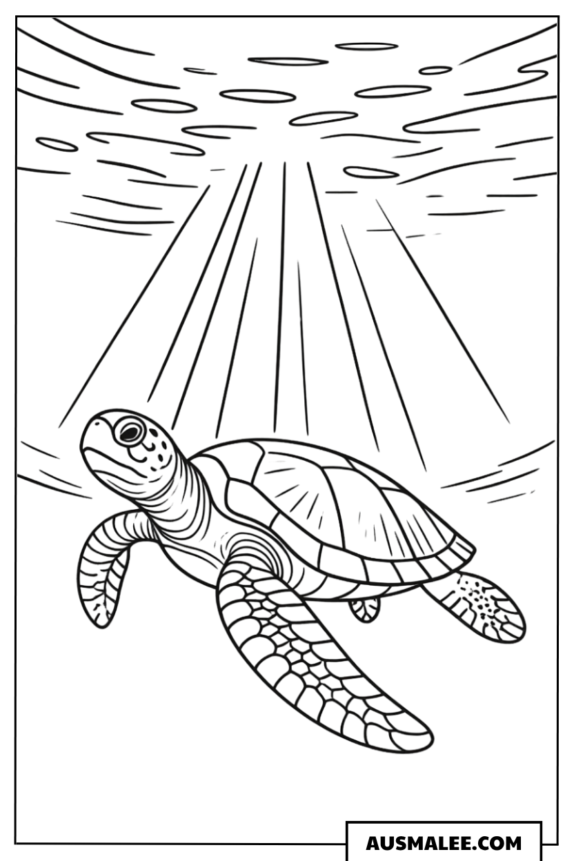 Ausmalbild Meeresbewohner und die glitzernde Sonne mit Schildkröte