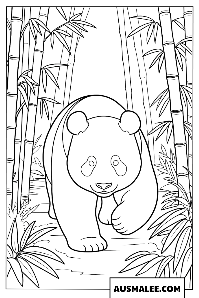 Ausmalbilder Panda im Bambuswald