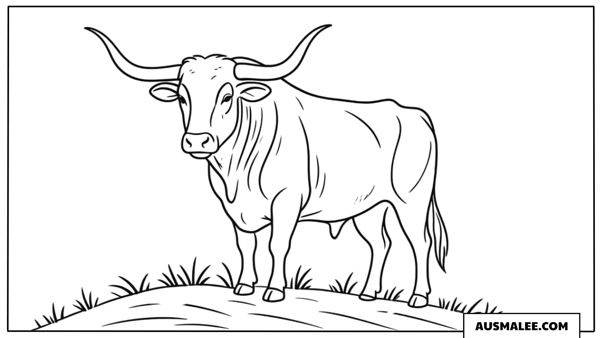 Texas Longhorn Ausmalbild