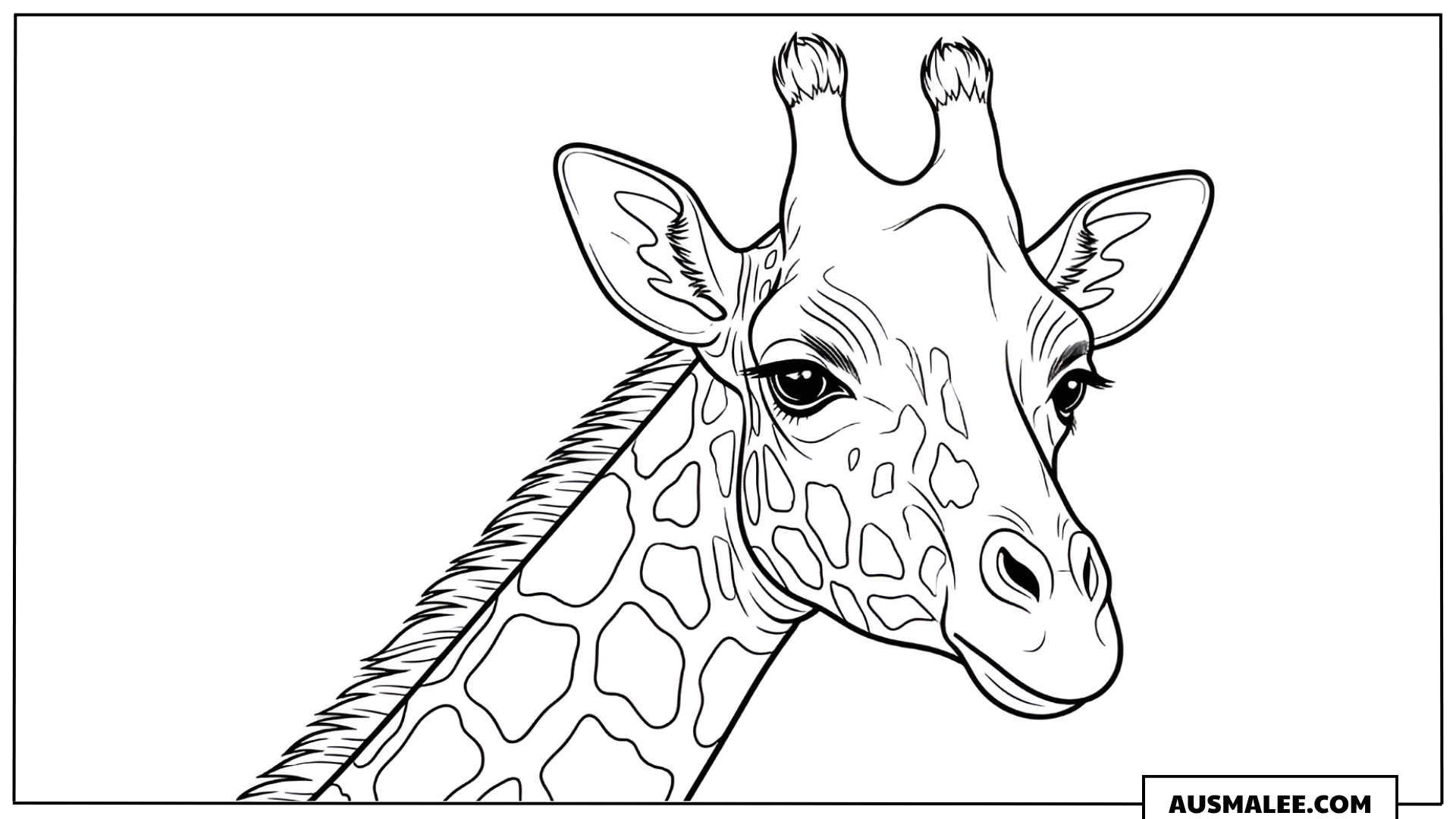 Ausmalbild Giraffe seitlich