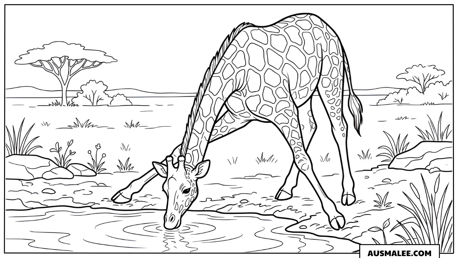 Ausmalbild Giraffe trinkt Wasser