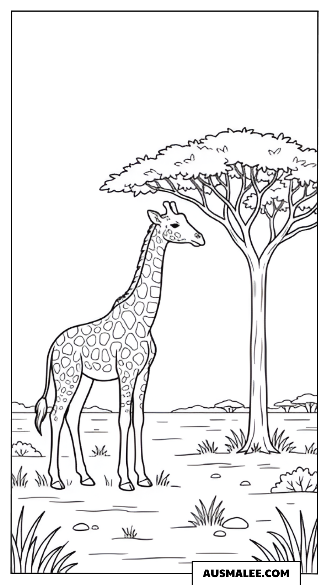 Ausmalbild Giraffe unter Akazie