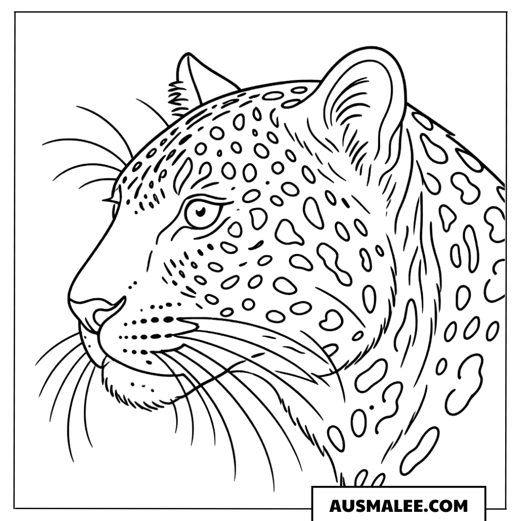 Ausmalbild Leopard Portrait seitlich