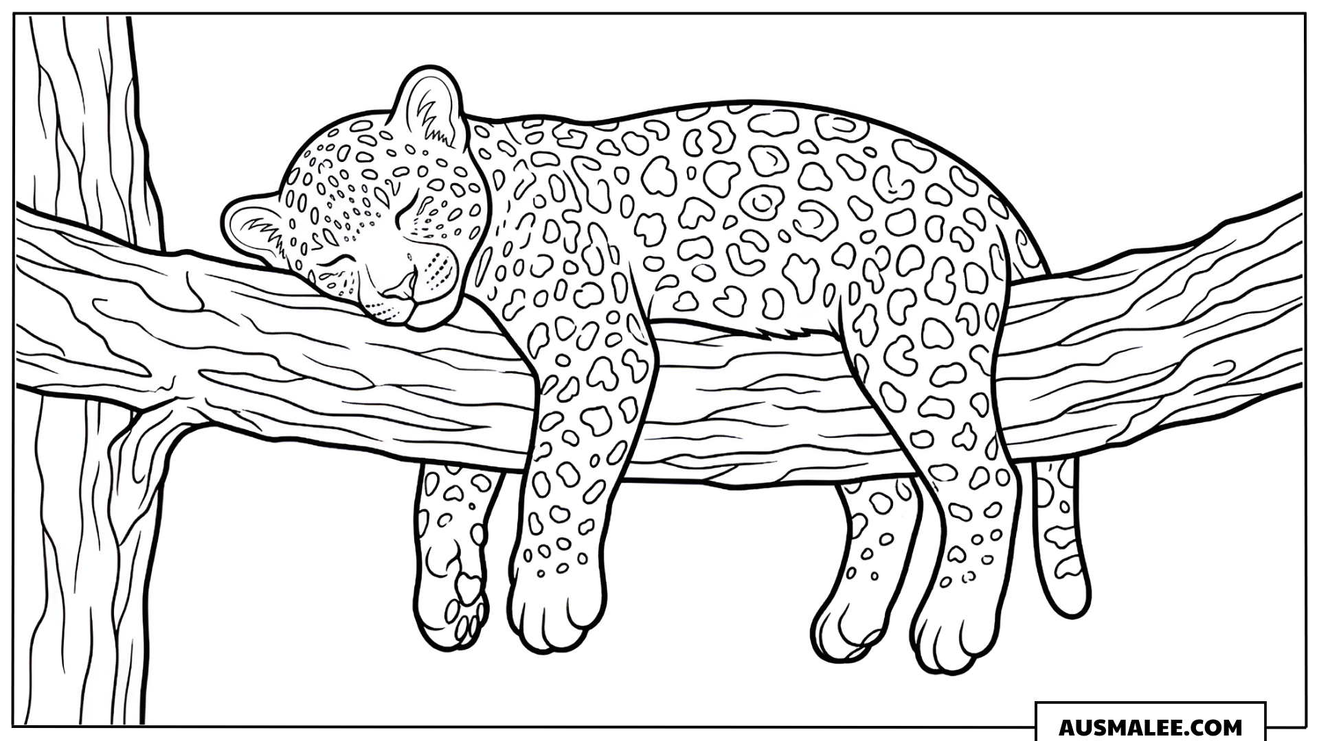 Ausmalbild Schlafender Leopard auf dem Ast